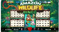 Logótipo de Amazon Wildlife Bingo