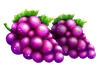 Símbolo de Uvas Basket Bounty